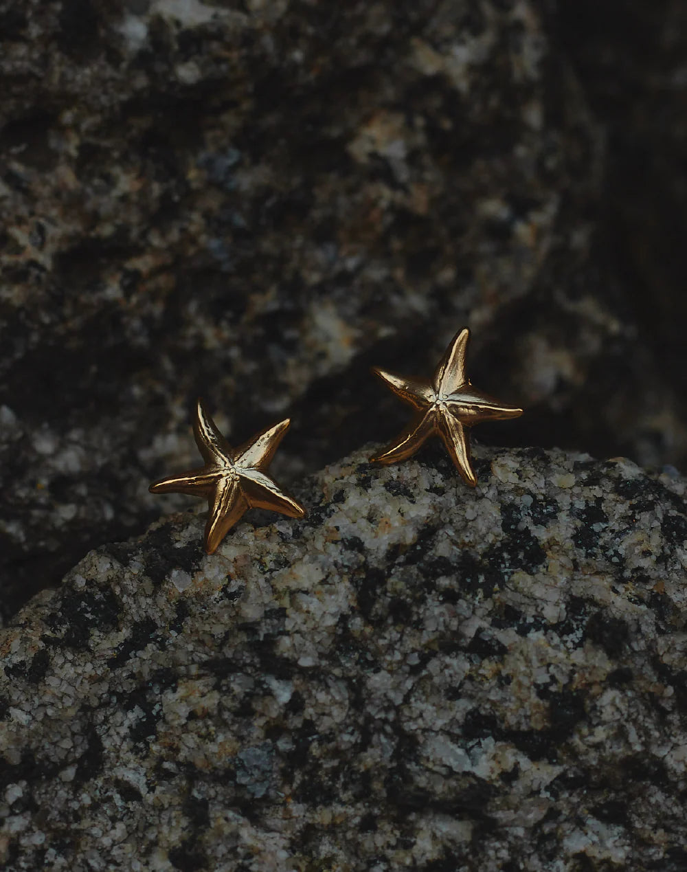 Earrings Starfish