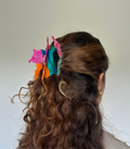 Cumbia Colombia Map Hairclip