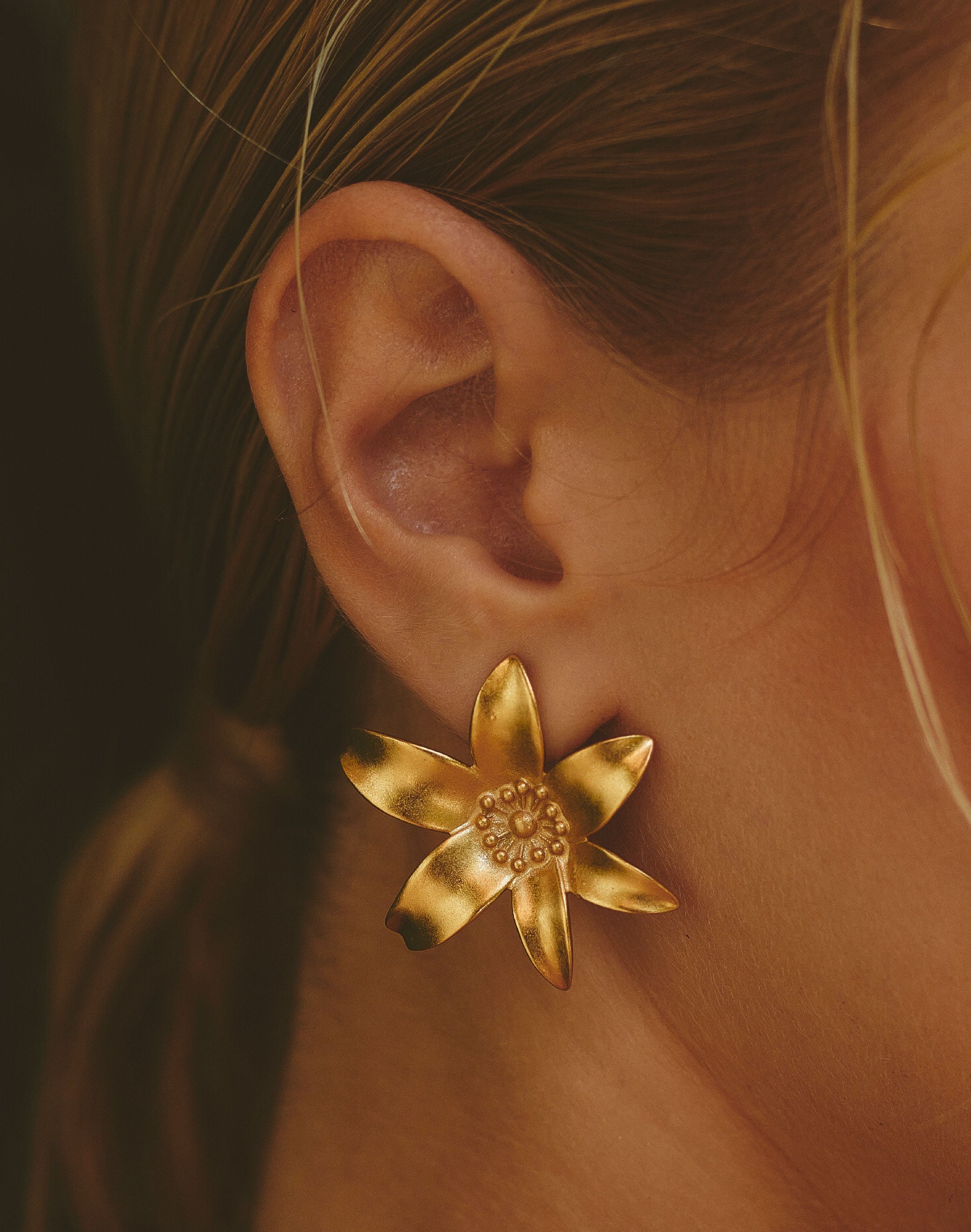 Earrings Passiflora