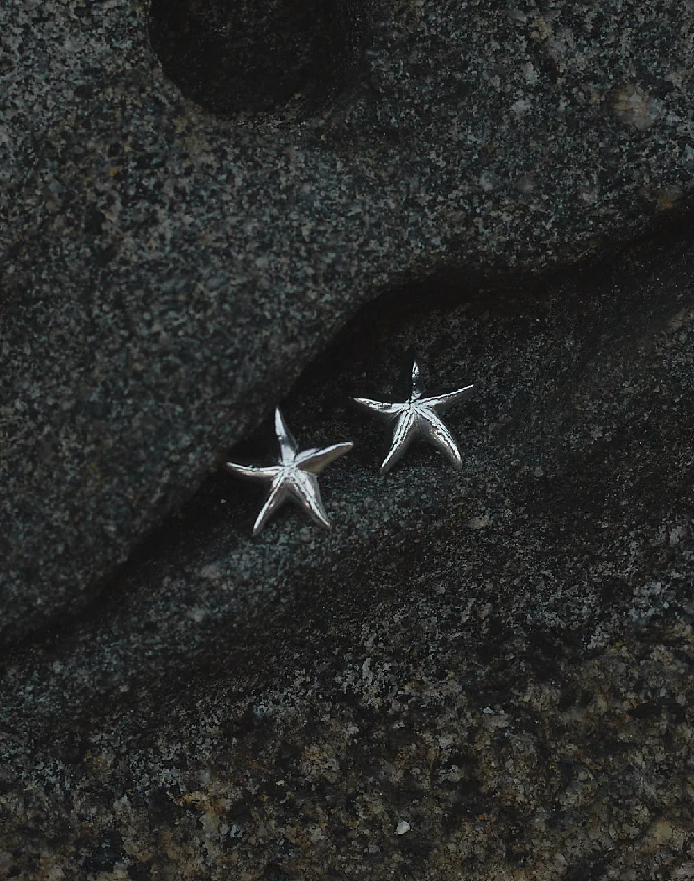 Earrings Starfish