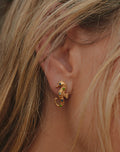 Earrings Seahorse