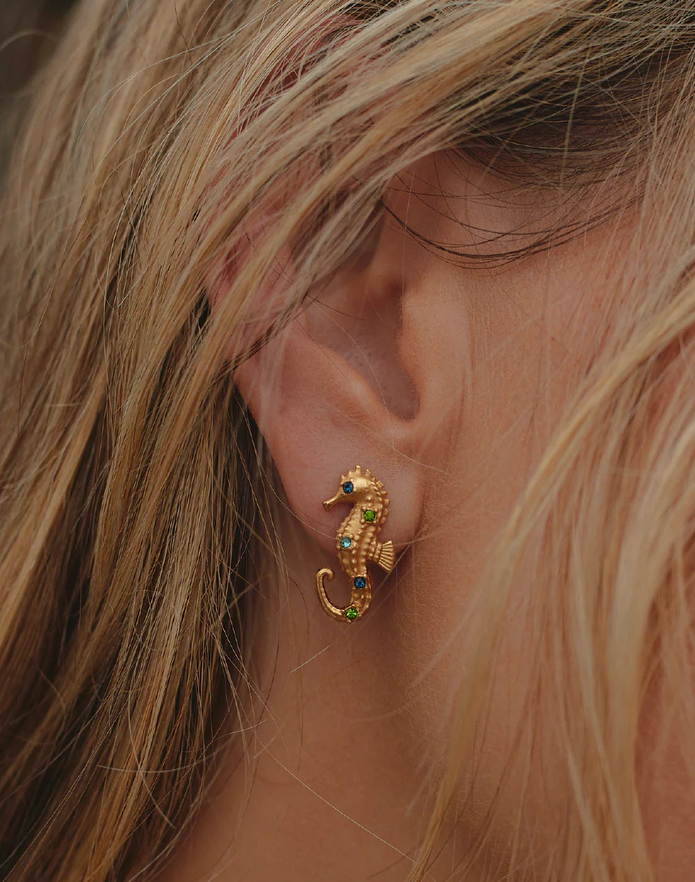 Earrings Seahorse