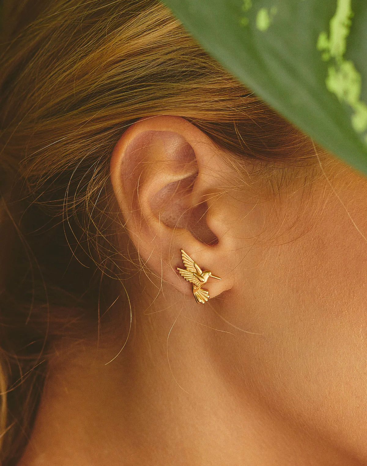 Earrings Hummingbird