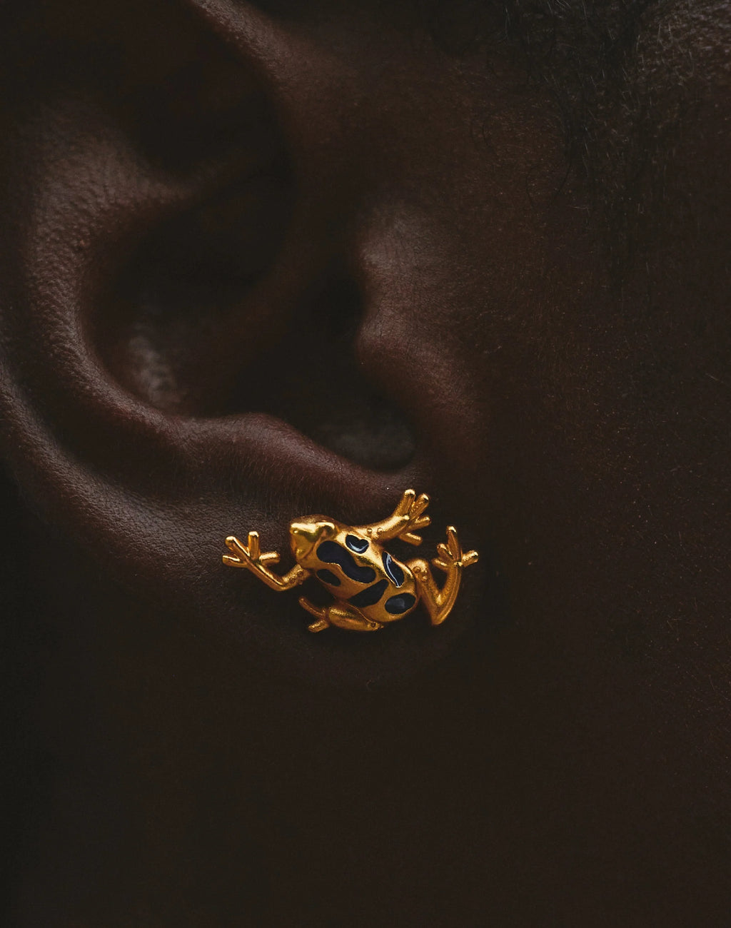 Earrings Blue Frog