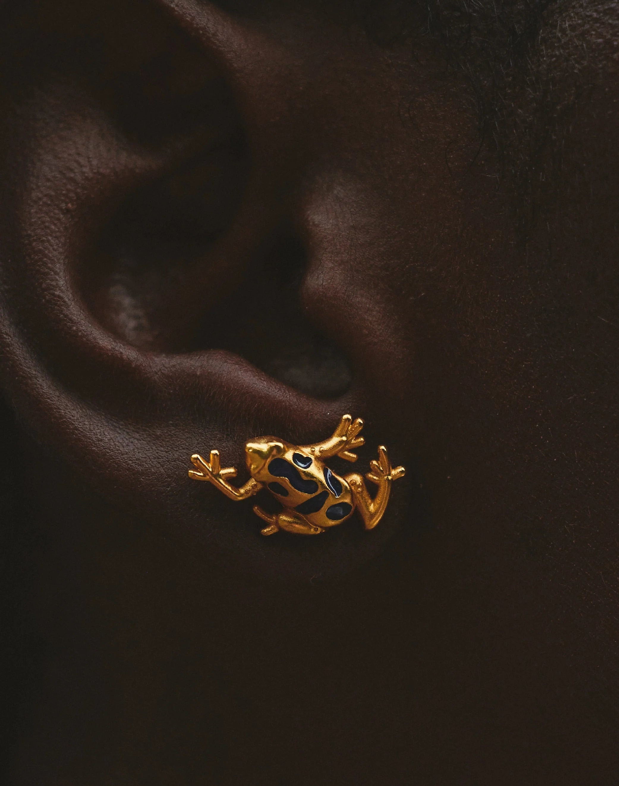 Earrings Blue Frog