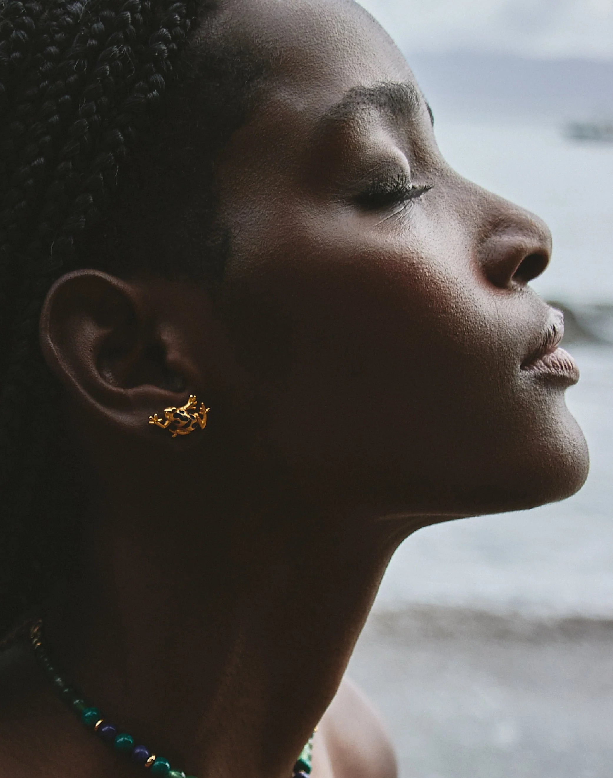 Earrings Blue Frog