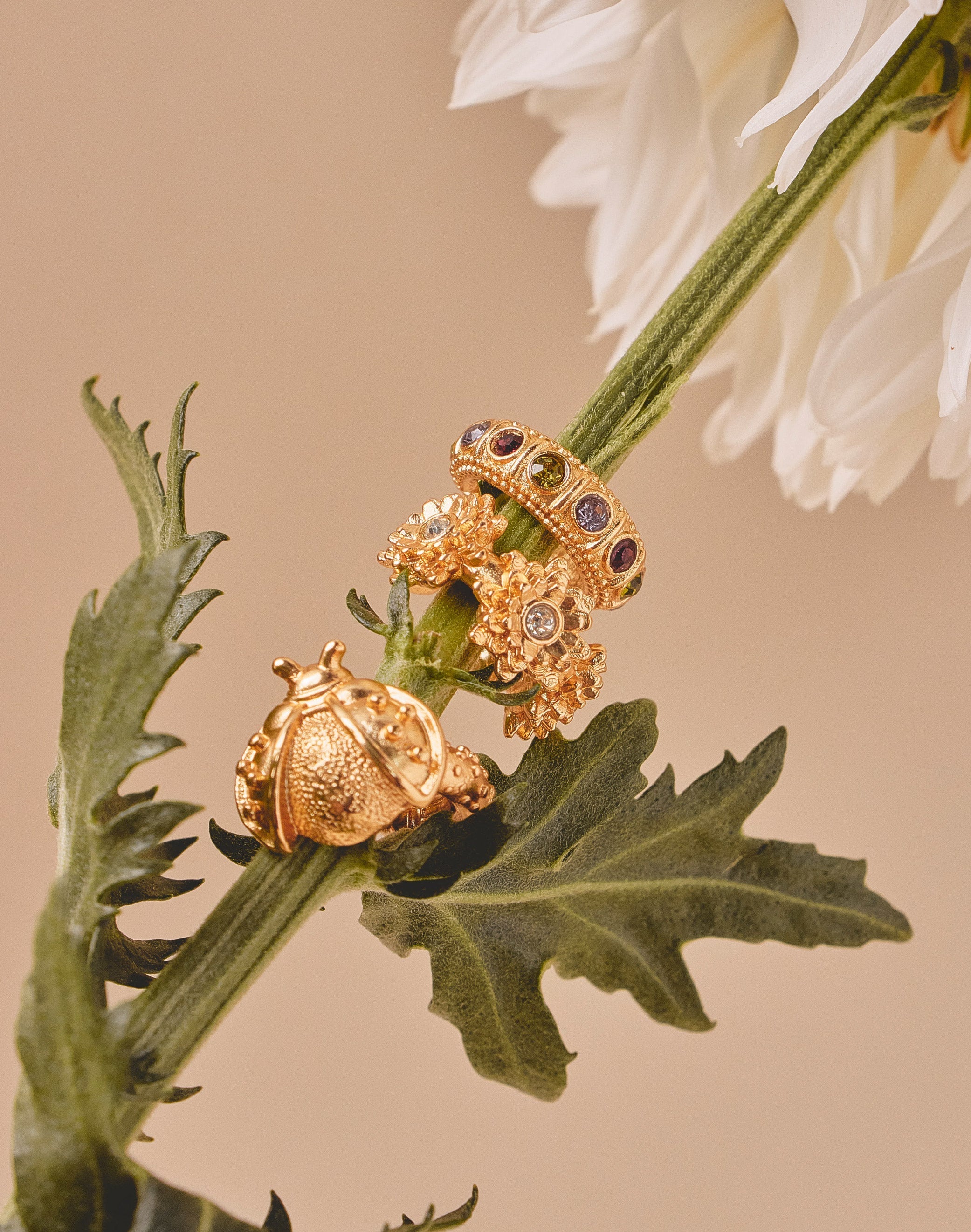 Set of 3 Earcuffs Nature