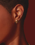 Earrings Sea Turtle